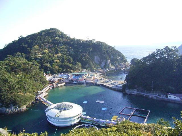 入り江に浮かぶ下田海中水族館