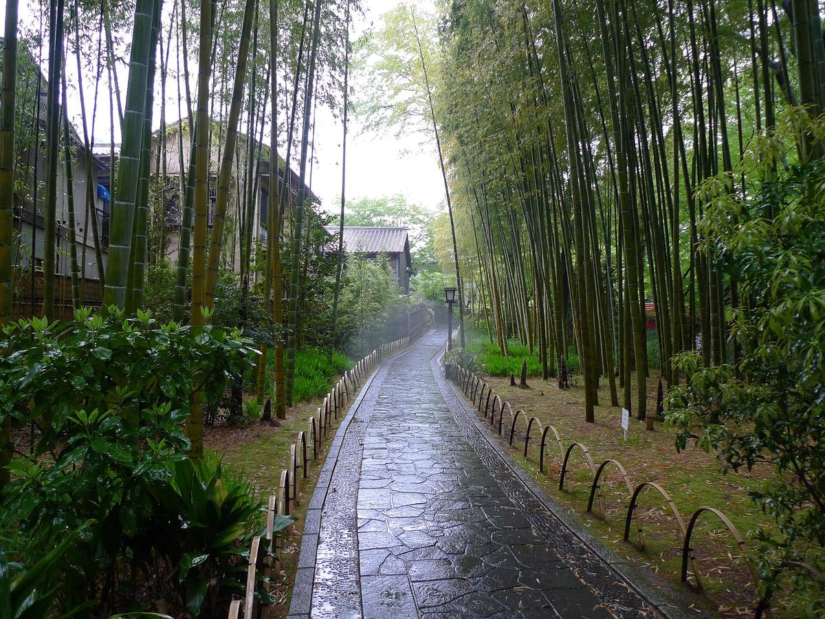 修善寺 竹林の小径