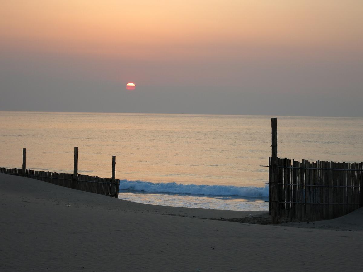 下田の海の日の出